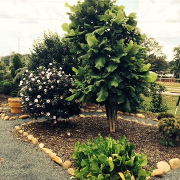 TEST GARDEN