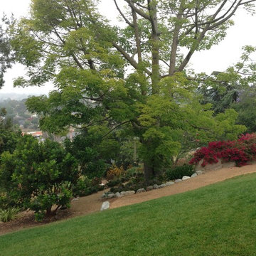 Design Build: Vista Botanical Home