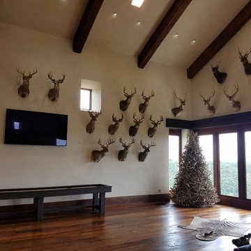 Hanging Deer Mounts and More