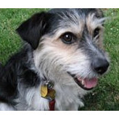 Nora Koerner MacDonald's photo