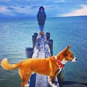 Megan Wheeler's photo