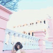 Foto di Shell Bee