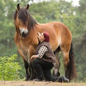 Sylvia Czarnecki's photo