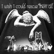 Nora Renz's photo