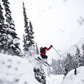 Camille Godin's photo