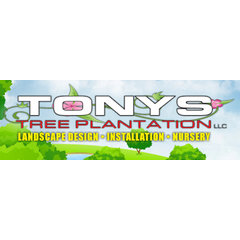 Tony's Tree Plantation LLC