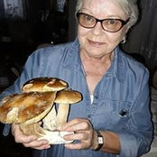Foto de Wanda Sarzynski
