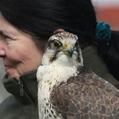 Lisa Walter's photo