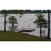 Michael Madden's photo