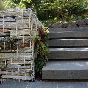 Contemporary Wooded Garden