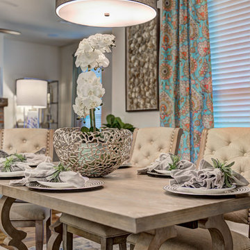 Contemporary Renovation