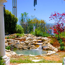 Aquaponics