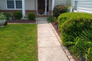 Design ideas for a landscaping in DC Metro.
