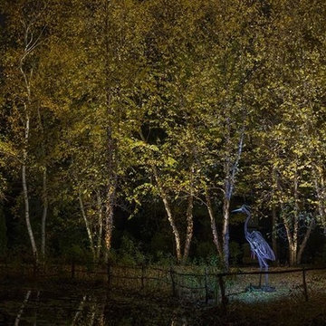 Landscape Lighting