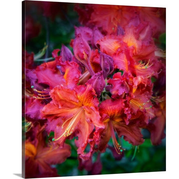 "Park Blossoms" Wrapped Canvas Art Print, 21"x24"x1.5"