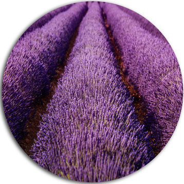 Endless Rows Of Lavender Field, Landscape Disc Metal Artwork, 23"