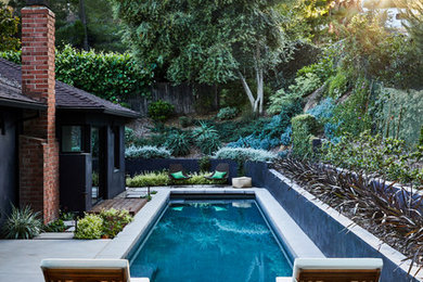 Example of a mid-sized trendy backyard concrete and rectangular lap pool design in Los Angeles