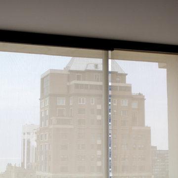 Applause Honeycomb Shades- Downtown Chicago