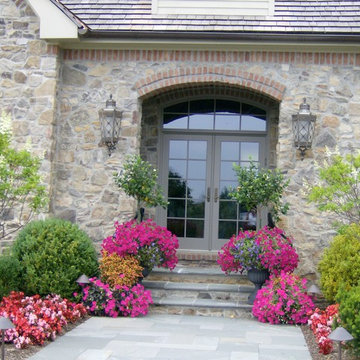 Photos