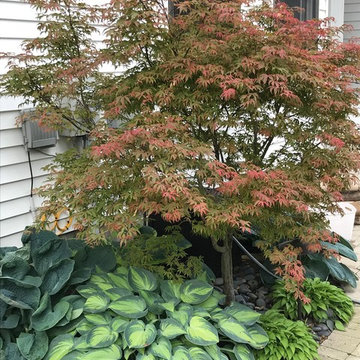 Residential Shade Garden