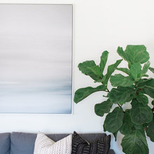 Indoor Plants