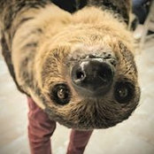 James Dahlke's photo