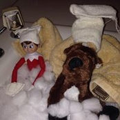 Jennifer Gorin's photo