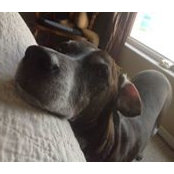 Anne Tindall's photo