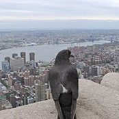 Norm Fournier's photo