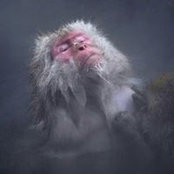 Andrew Brettargh's photo