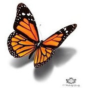Kimberly Morrell Miller's photo