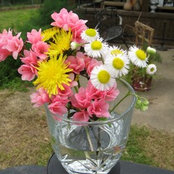 Denise Miller's photo