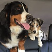 Mike Craig's photo