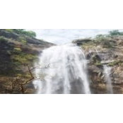 Manimaran Maharajan's photo