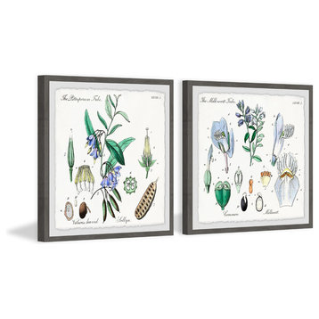 "We Are Bellflowers Diptych" Framed Prints, 12"x12", 2-Piece Set