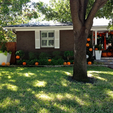Autumn Decor