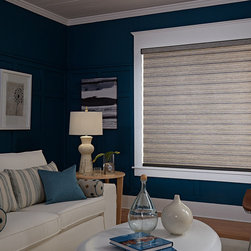Allure&reg; Transitional Shades - Window Blinds