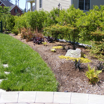 New Home, Backyard from scratch