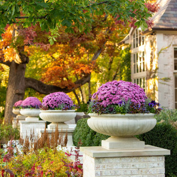 Fall Annuals