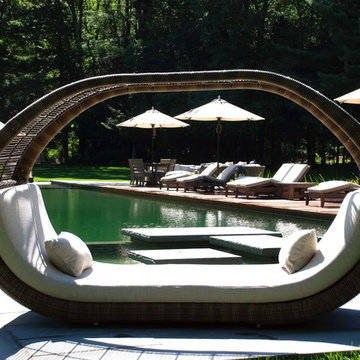 BioNova® Natural Swimming Pool - Danbury, CT