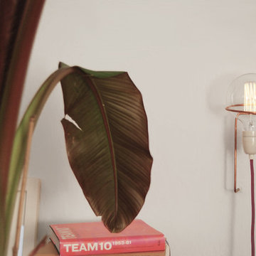 Lasso Wandlampe