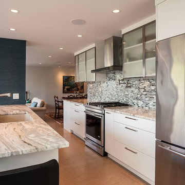 Pt Grey Penthouse Renovation