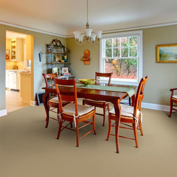 Carpet Inspiration