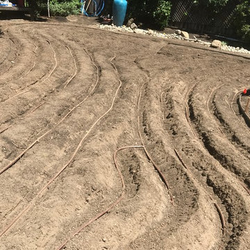 California Native Backyard Renovation