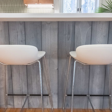 Mid-century Modern Kitchen Remodel