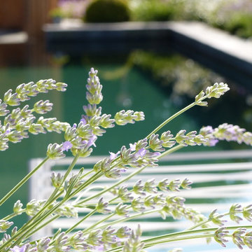 Naturpool