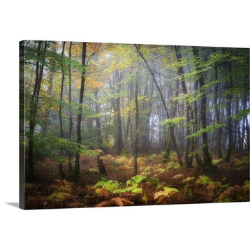 "Colored Rain in Deep Forest" Wrapped Canvas Art Print, 24"x16"x1.5"