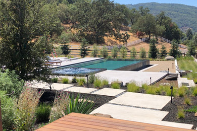Modelo de piscina infinita moderna extra grande rectangular en patio trasero con paisajismo de piscina