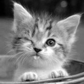 Mary Makkar's photo