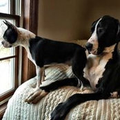Matt Moore's photo